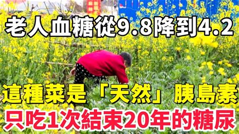 80歲老人血糖從9 8降到4 2！這種菜被醫生稱是「天然」胰島素，只吃1次血糖立刻往下降，從此告別20年的糖尿【小穎養生】， 血糖 天然