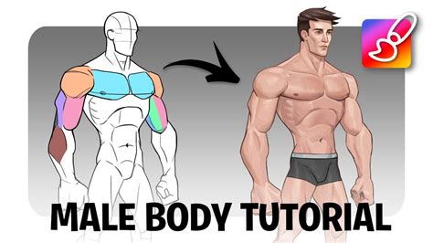 How To Draw Male Superheroes Body