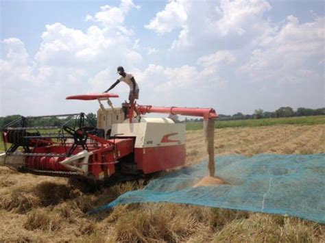 China Lovol Crawler Rice Kombiniert Harvester High Entladung Kaufen