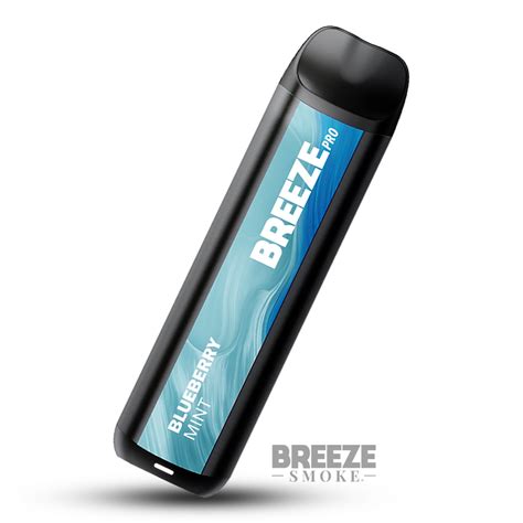 BreezePro-2000Disposableblueberrrymintshadow_logo2_6af15270-b8a2-40fb ...