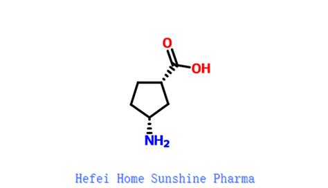 S R Aminocyclopentanecarboxylic Acid Cas Manufacturers