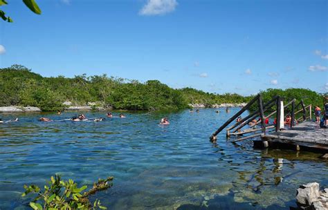 Our Complete Guide To Yal Ku Lagoon Akumal World Travel Toucan