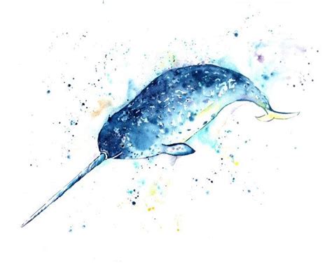 Narwhal Painting Narwhal Print Whale Print Narwhal Art Etsy New