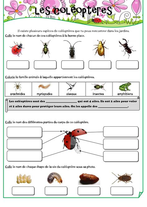 Les Petites B Tes Du Jardin Fiches De Pr Parations Cycle Cycle