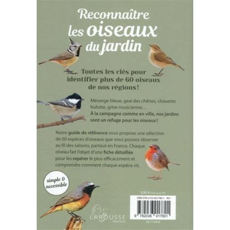 Reconna Tre Les Oiseaux Du Jardin Les Esp Ces Les Plus Fr Quentes