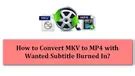 How To Convert Ts To Mov Handily And Efficiently