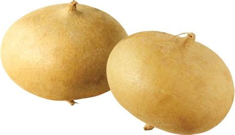 Jícama | Tropical, Edible, Root Vegetable | Britannica