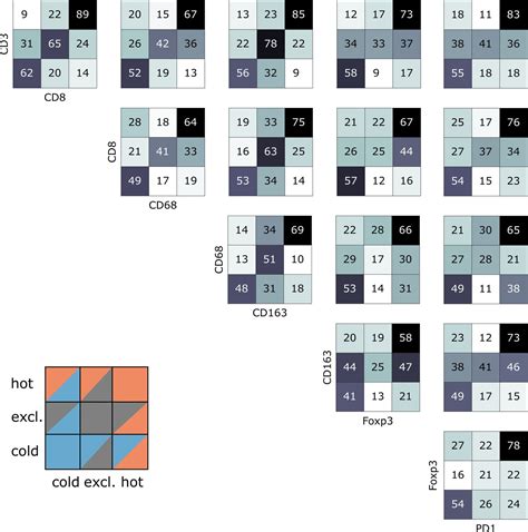 Figures And Data In Topography Of Cancer Associated Immune Cells In