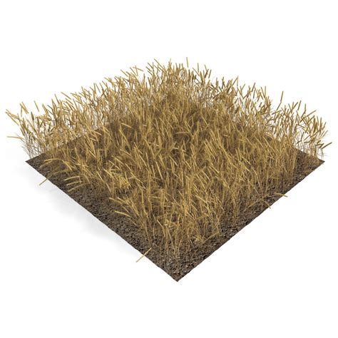 Wheat Field 3d Model 39 Max 3ds Obj C4d Free3d