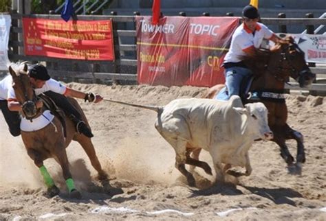 Sancionada Lei Que Considera Rodeio E Vaquejada Como Patrim Nio