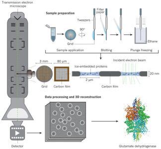 What To Expect High Resolution Macromolecular Cryo Electron Microscopy