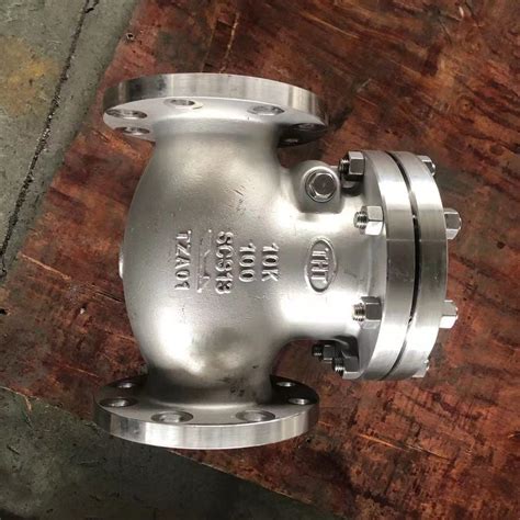 ASME Stainless Steel Flanged Swing Check Valve China Check Valve And