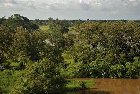 Canje De Deuda Por Naturaleza En Am Rica Latina Una Forma De Apoyar La