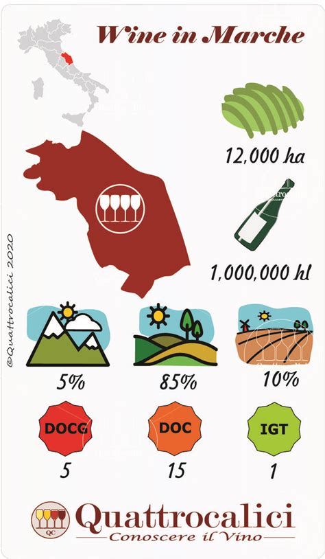 La Marche Nella Guida Al Vino E All Enoturismo Di Quattrocalici Marche