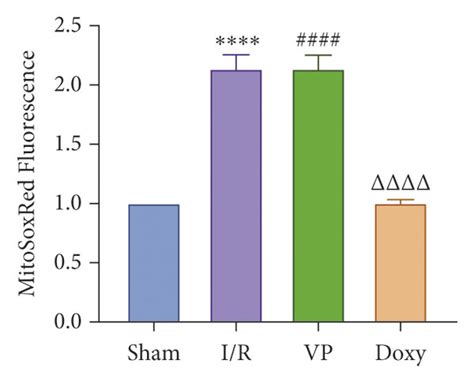 Yap Activation Attenuated Oxidative Stress And Liver Injury In Hepatic