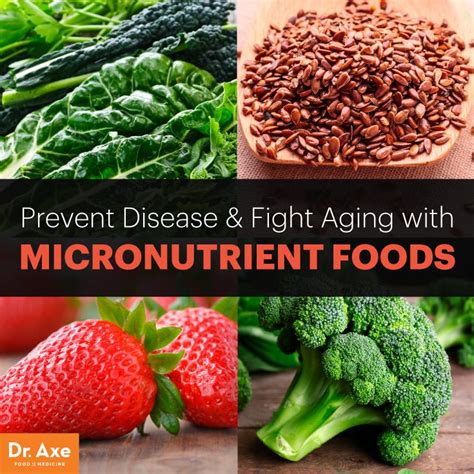 The Most Important Micronutrients You Must Consume Anti Aging Food