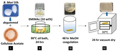 Polymers Free Full Text Silk Cellulose Acetate Biocomposite