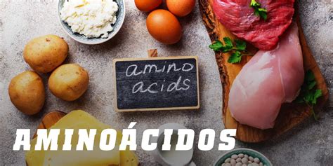 Qué alimentos contienen la tirosina Enterate Delicias