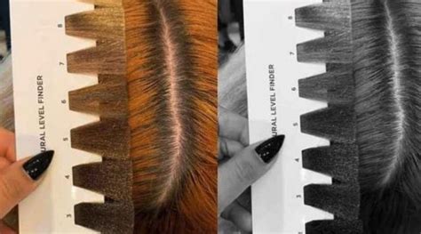 Hair Color Mixing Chart | The Salon Project NYC