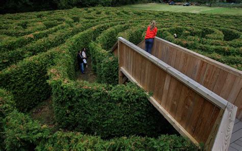 20 Best Places To Go Apple Picking In The Us