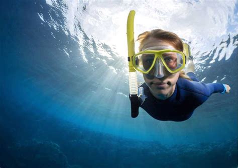 Try Freediving Experience In Arr Bida Marine Reserve Getyourguide