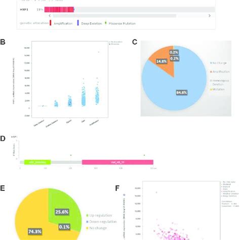 The CBio Cancer Genomics Portal Analysis Copy Number Alterations