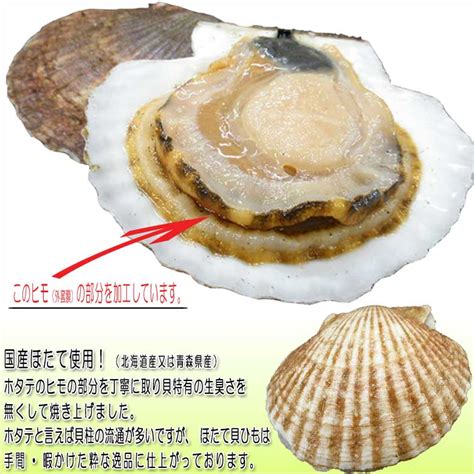 Auc Ky Honpo Rakuten Global Market Scallop Shell String Hokkaido