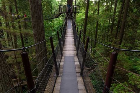 Aventure Dans Le Parc Du Mont Grouse Et Du Pont Suspendu De Capilano