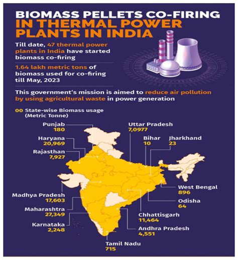 Co Firing Biomass Pellets In Thermal Power Plants