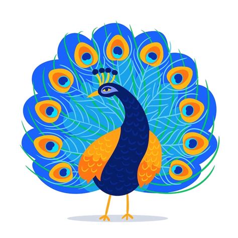 Premium Vector Full Color Peacock Cartoon Vector Illustration