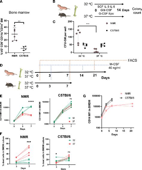 Figure 1 From Macrophages From Naked Mole Rat Possess Distinct