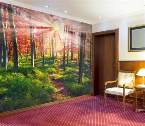 D Sunlight Tree Zhua Wallpaper Wall Murals Removable Self Adhesive