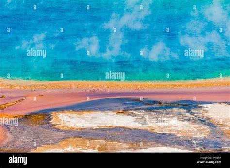Colored Mineral Deposits At The Edge Sr Steaming Hot Spring Detail Photo Grand Prismatic