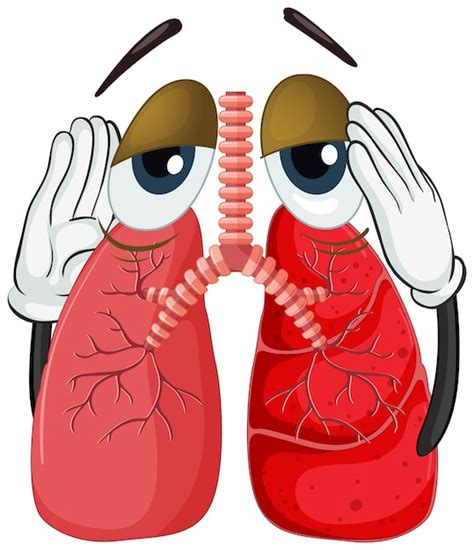 Vecteurs Et Illustrations De Circulation Pulmonaire En T L Chargement