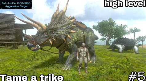 Taming A Triceratops In Ark Survival Evolved Mobile How To Tame A