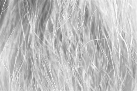 Textura De Pelo De Animal Foto Premium