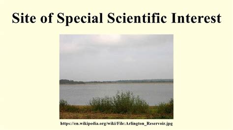 Site Of Special Scientific Interest Youtube