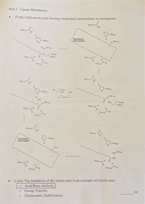 Solved Part 3. Lipase Mechanism . 9 pts) Add arrows and | Chegg.com