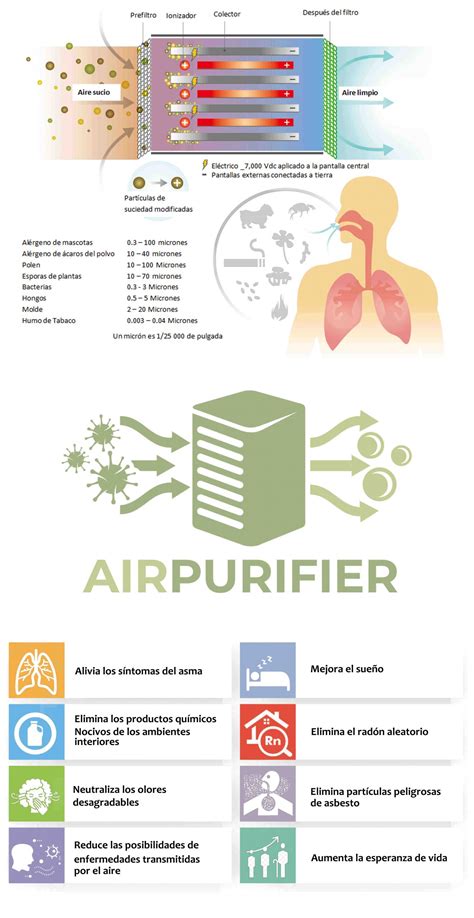 Los Mejores Purificadores De Aire En