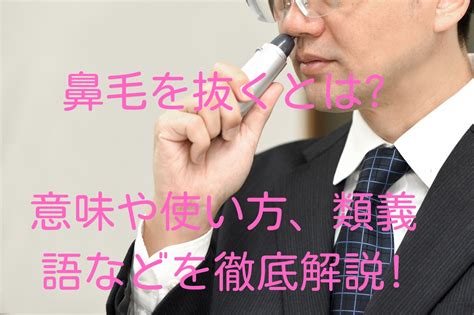 鼻毛を抜くとは意味や使い方、類義語などを徹底解説 ことわざのナルゾウ