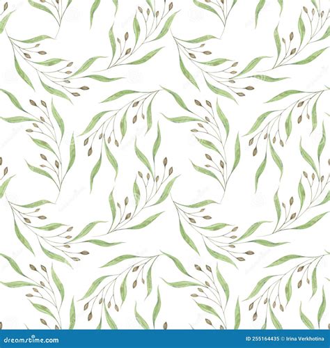 Watercolor Pattern Wild Grass Green Grass Leaves And Dried Seeds Stock