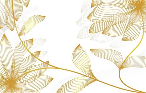 White And Gold Luxury Line Flower 10063184 Vector Art At Vecteezy