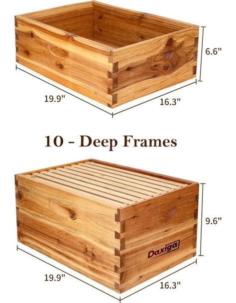 Bee Hive Complete Beehive Kit Daxiga 10 Frame Beeswax Coated