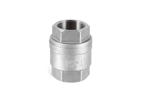 Stainless Steel Spring Check Valve Orseal