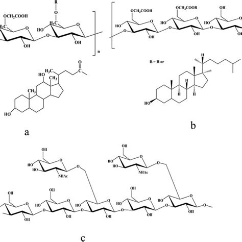 Structural Representation Of The Deacetylation Reaction Producing Chitosan Download