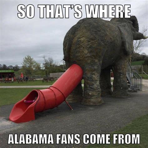 Big Al Alabama Football Alabama Football Funny Football Funny