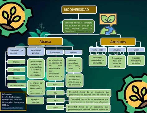 ELABORA UN MAPA CONCEPTUAL DE LA BIODIVERSIDAD EN EL PERÙ DE LOS