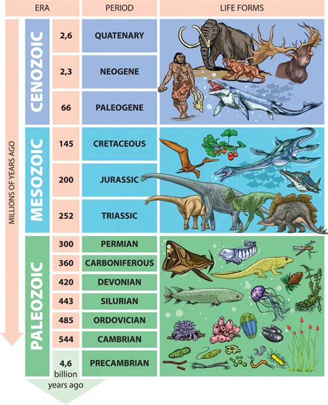 What Is The Shortest Era In The Geologic Time Scale - Infoupdate.org