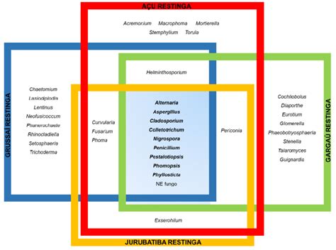 Distribution Diagram Of The 36 Endophytic Fungal Genera Isolated From