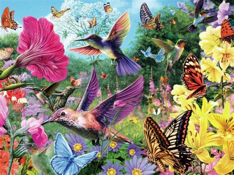 Hummingbirds and Butterflies Wallpapers - 4k, HD Hummingbirds and ...